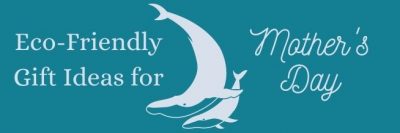 Read more about the article Eco-Friendly Gift Ideas for Mother’s Day