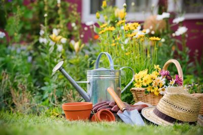 Read more about the article Sustainable Gardening