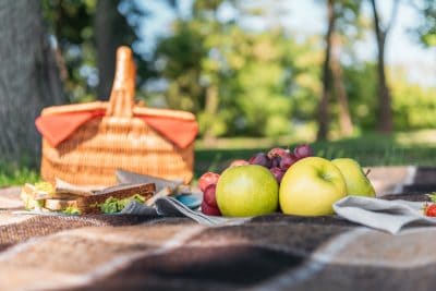 Read more about the article Easy Eco-Friendly Picnic Tips: Top Four